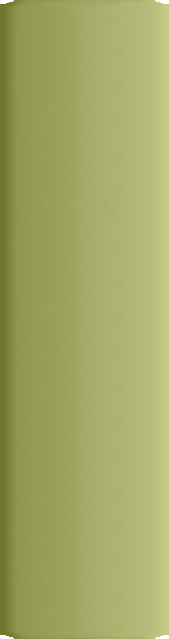 09050801_obama_mccain_political_memorabilia001009.gif